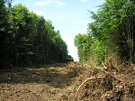 Obrzek 47